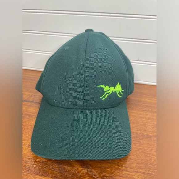 The Classics Green Wool Blend Embroidered Ant SnapBack Baseball Cap GUC - Picture 1 of 7